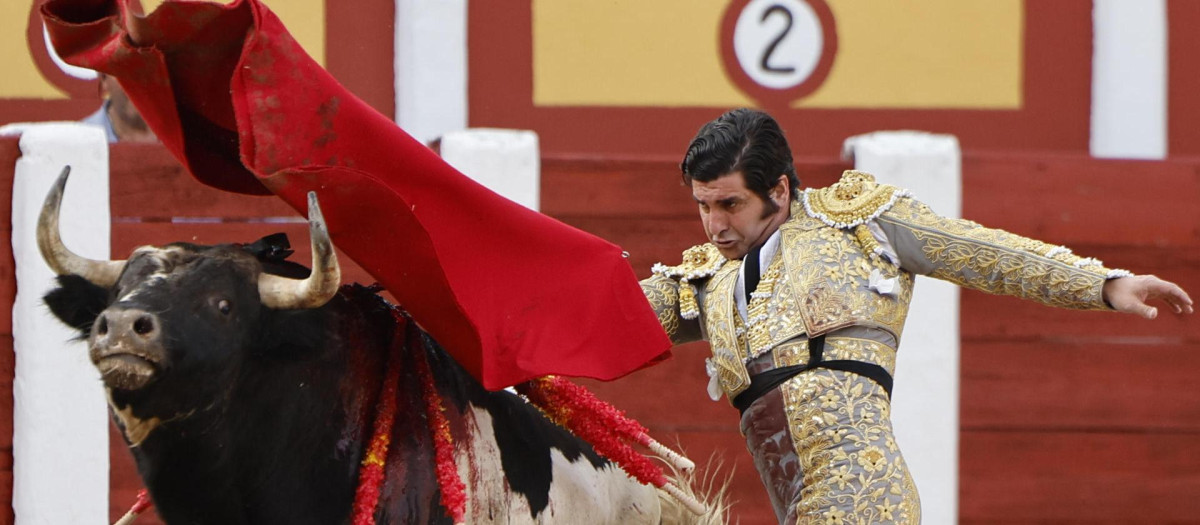 Morante de la Puebla en Talavera de la Reina