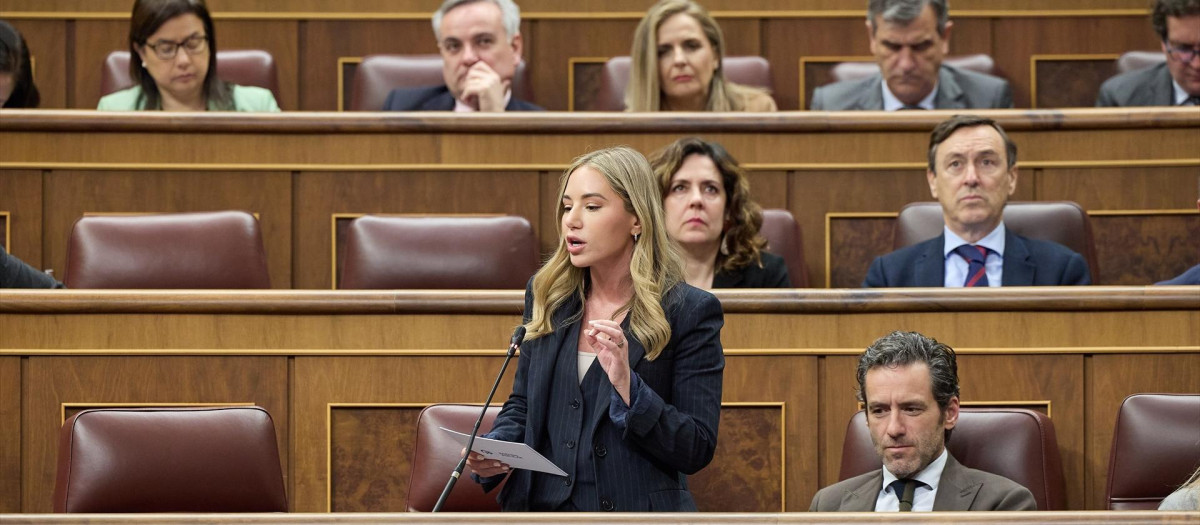 La vicesecretaria de Movilización y Reto Digital del PP nacional, Noelia Núñez, interviene durante una sesión de control al Gobierno, en el Congreso