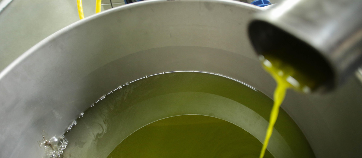 Producción de aceite en España