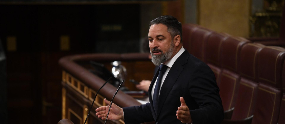 El presidente de Vox, Santiago Abascal, en el Congreso