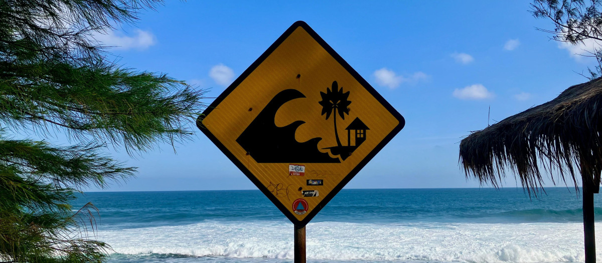 cartel tsunami