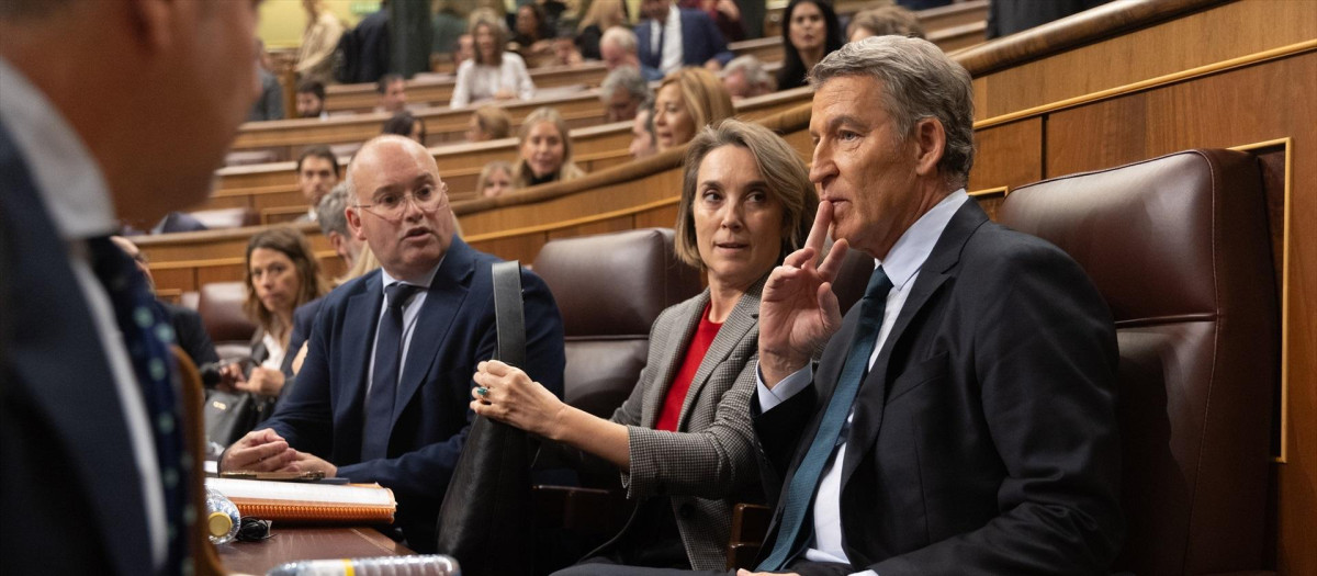 Miguel Tellado; la secretaria general del PP, Cuca Gamarra, y el presidente del Partido Popular, Alberto Núñez Feijóo, durante una sesión plenaria en el Congreso