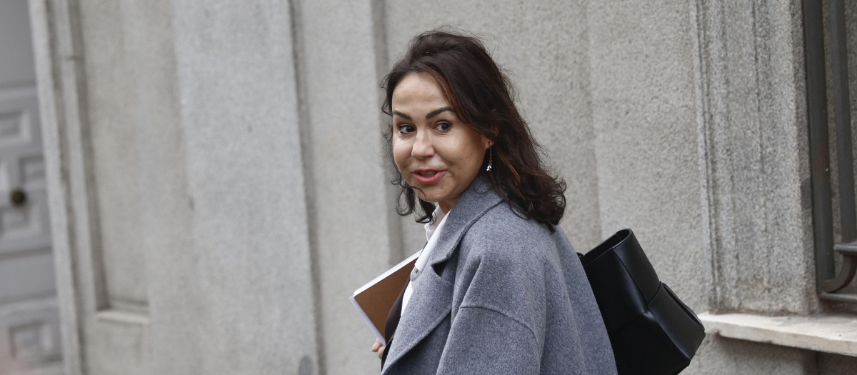 La ex presidenta de ADIF Isabel Pardo de Vera a su llegada al Tribunal Supremo