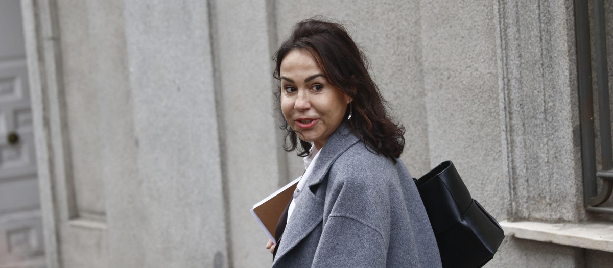 La ex presidenta de ADIF Isabel Pardo de Vera a su llegada al Tribunal Supremo