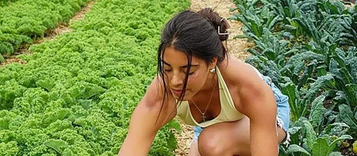 Trabajo en una granja ecológica.