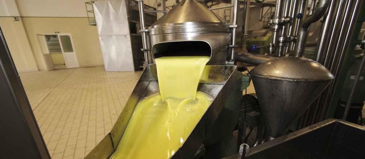Proceso de obtención de aceite de oliva en una almazara