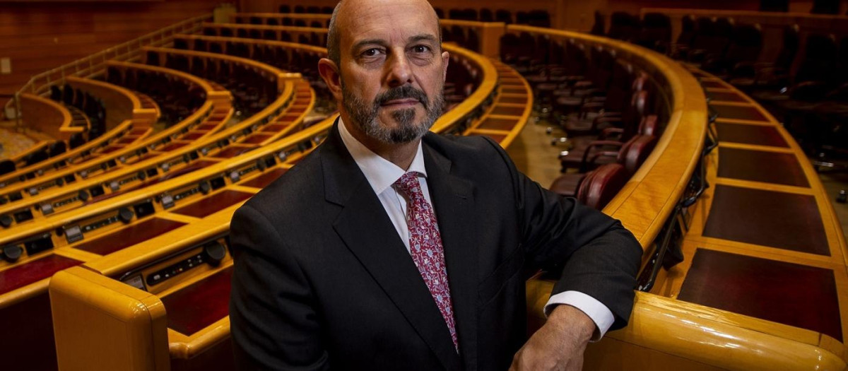 El presidente del Senado, Pedro Rollán
JUAN BARBOSA | EUROPA PRESS
29/5/2025