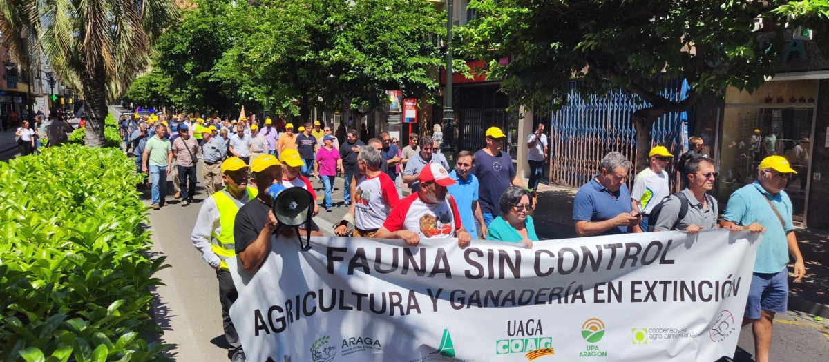 Manifestación del sector agroganadero