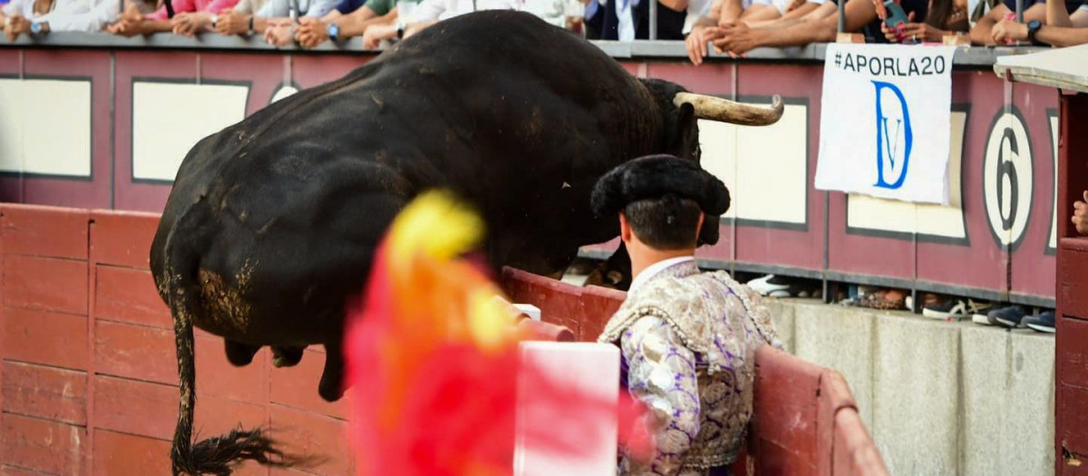 Otro de los toros saltando la barrera para meterse en el callejón