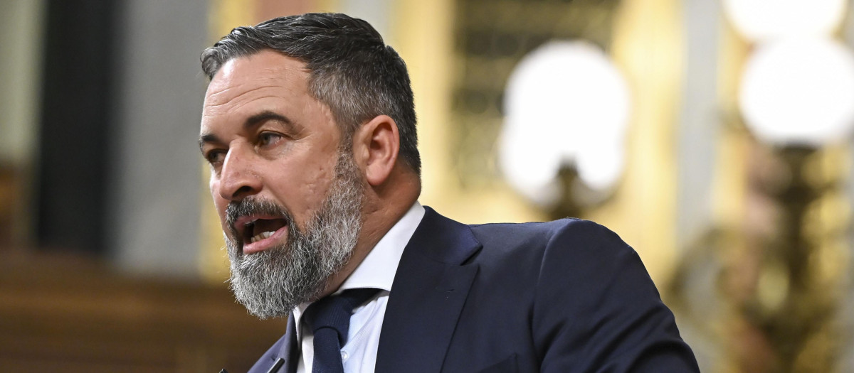 El líder de Vox, Santiago Abascal, en una intervención en el pleno