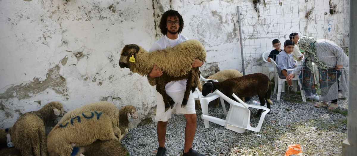 Un hombre con un cordero antes de ser sacrificados durante la Fiesta del Cordero, ‘el Eid al Adha’, en 2023, en Ceuta (España).