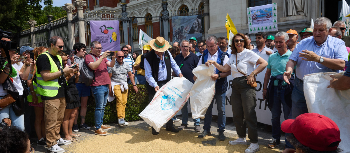 Manifestantes vacían sacos de cereal a las puertas del Ministerio de Agricultura, Pesca y Alimentación