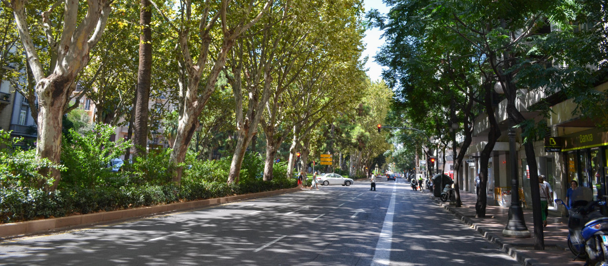 Imagen de la Gran Vía Marqués del Turia de Valencia.