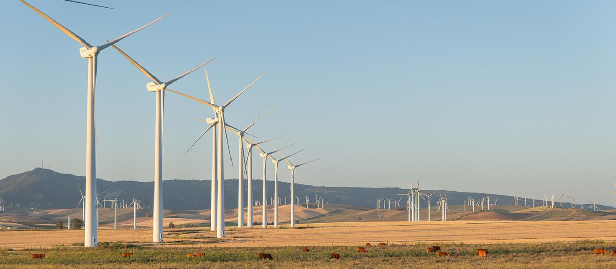 Parque eólico Tahivilla en Tarifa.