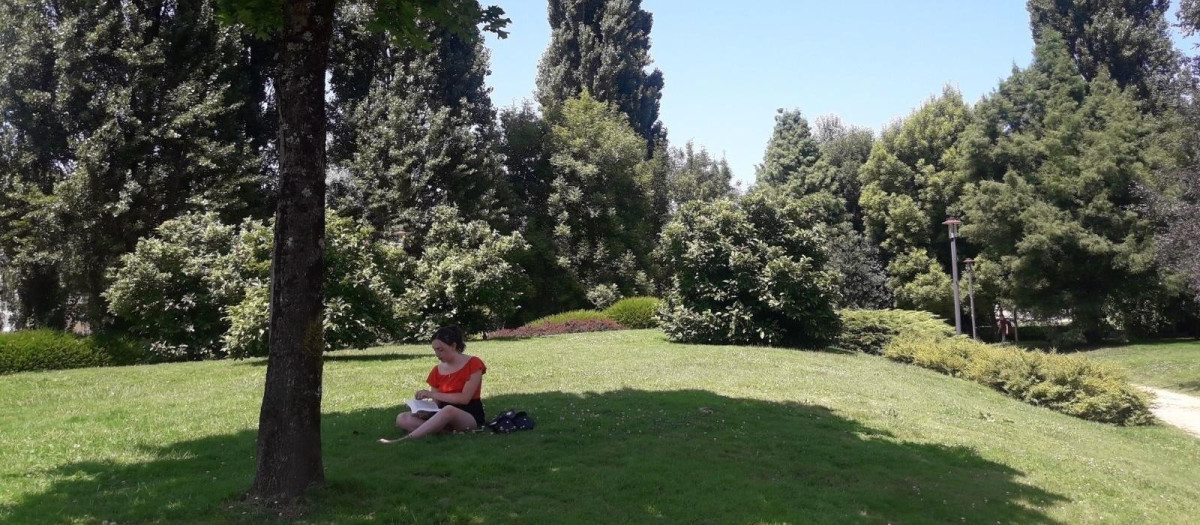 Joven bajo un árbol, fotografía de archivo
02/8/2018