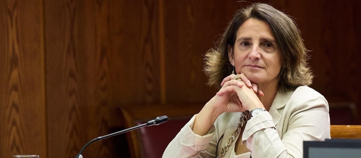 La exministra y vicepresidenta primera y comisaria de Competencia de la Comisión Europea, Teresa Ribera, en la comisión del Senado sobre el caso PSOE