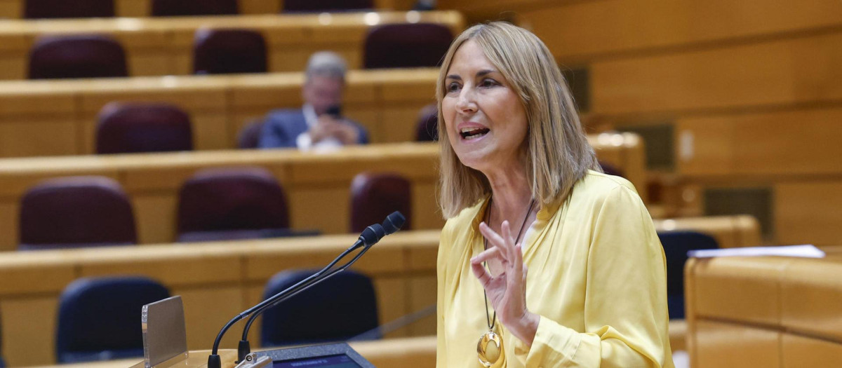 La senadora del PP Ana Beltrán interpela al ministro Félix Bolaños en el Senado