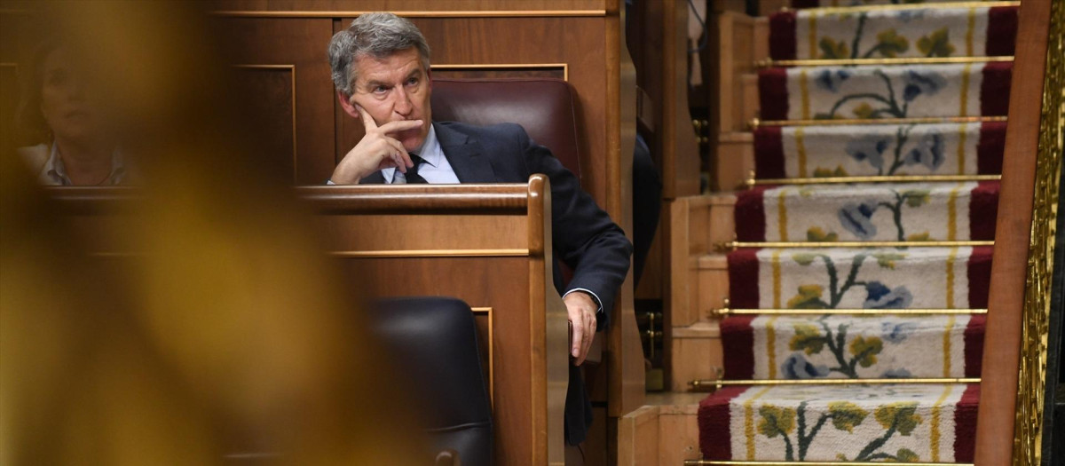 El presidente del PP, Alberto Núñez Feijóo, durante una sesión plenaria