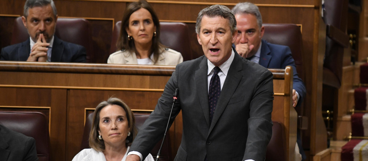 El lider de la oposición y presidente del PP, Alberto Núñez Feijóo, durante una sesión de control al Gobierno