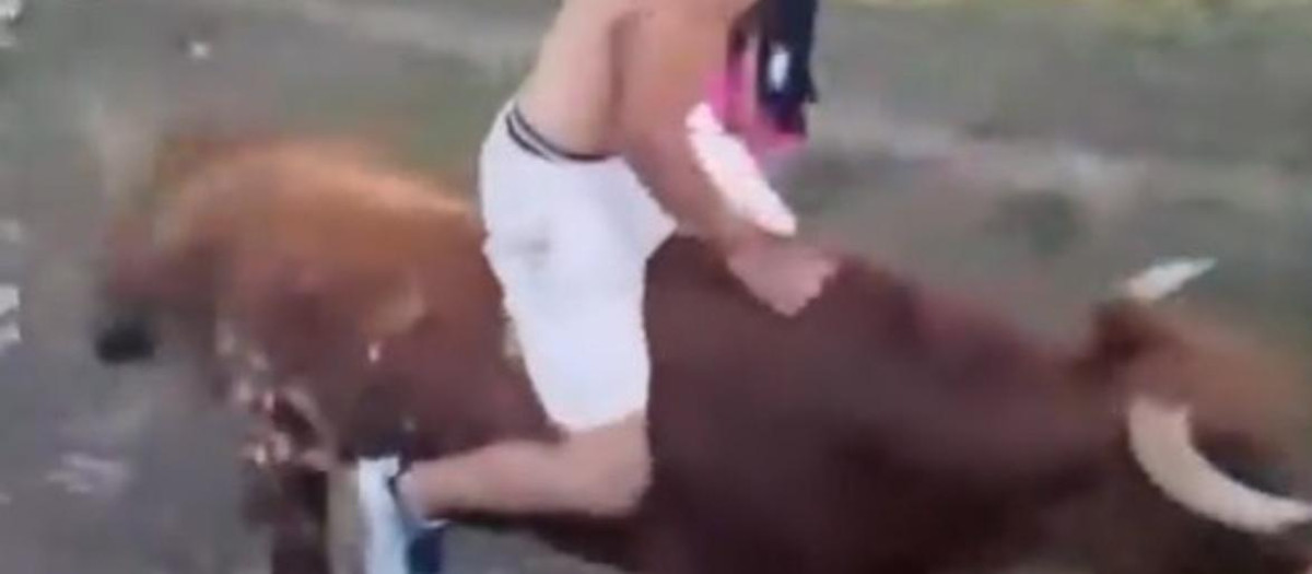 Un joven a lomos de un novillo en un pueblo de Soria