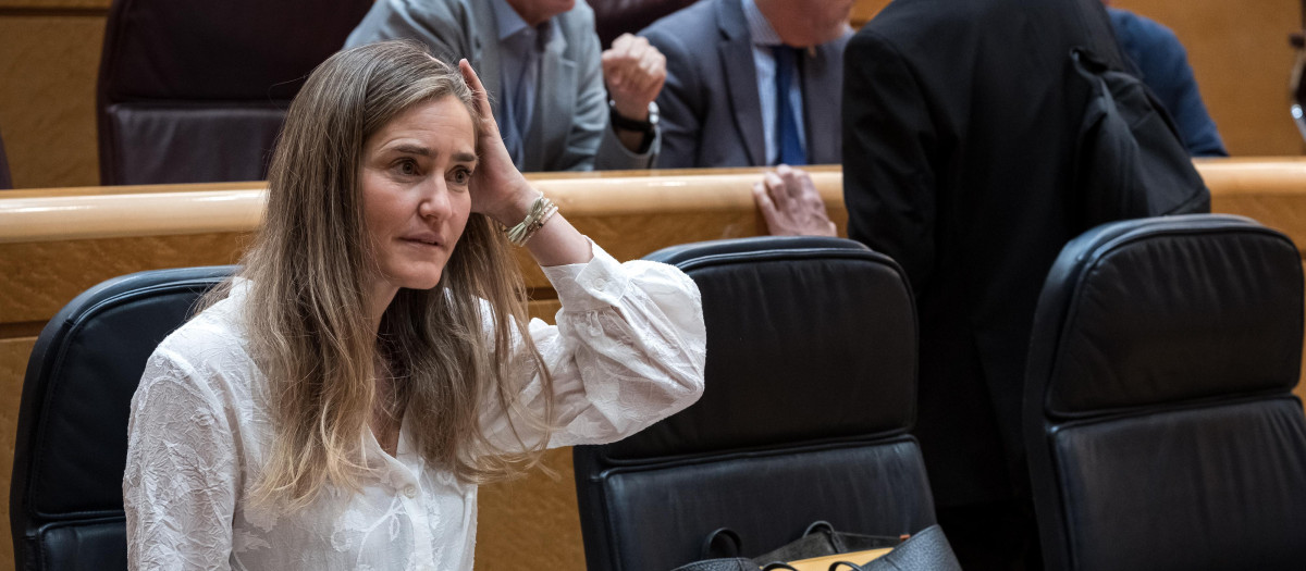 La vicepresidenta tercera y ministra para la Transición Ecológica y el Reto Demográfico, Sara Aagesen
