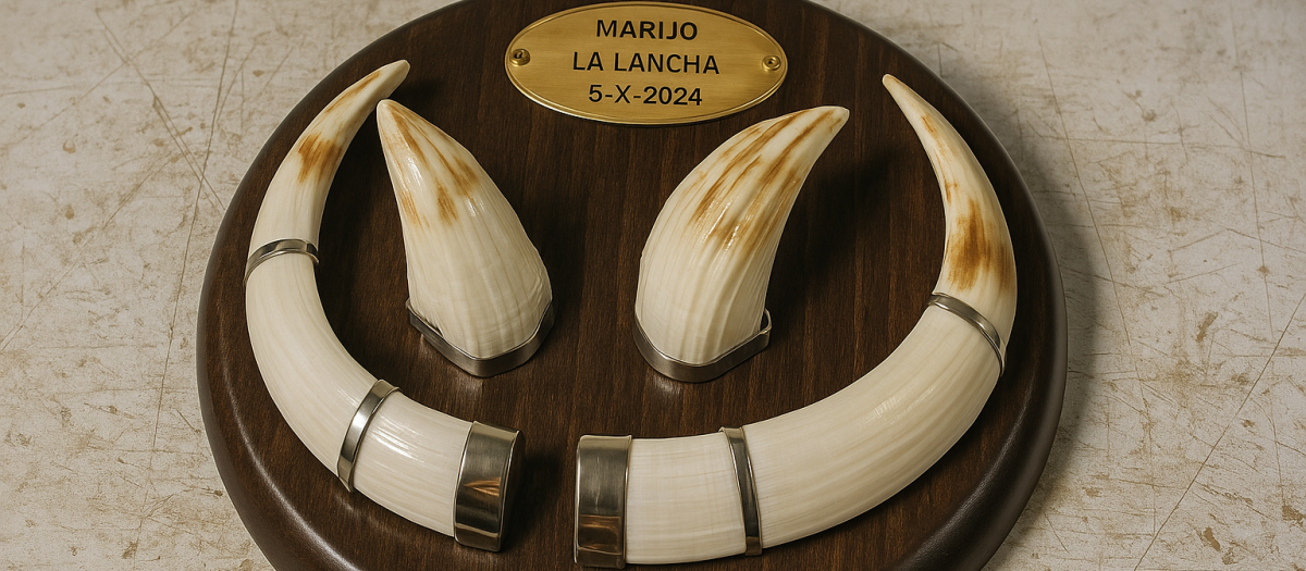 Trofeo del jabalí dedicado a Marijo