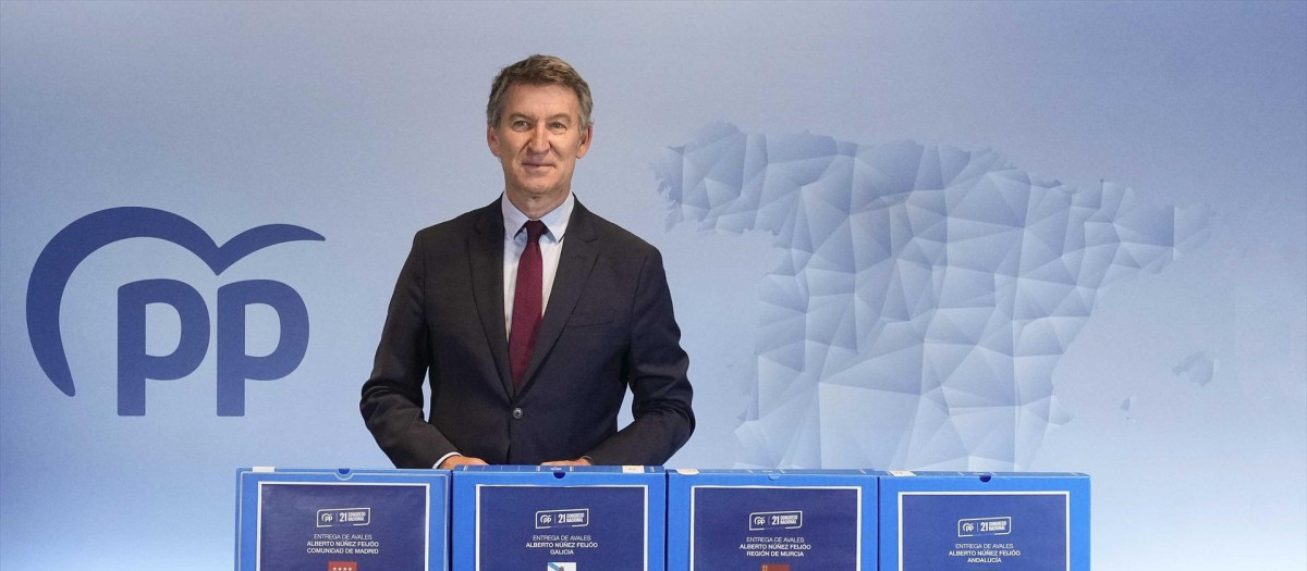El presidente del PP, Alberto Núñez Feijóo