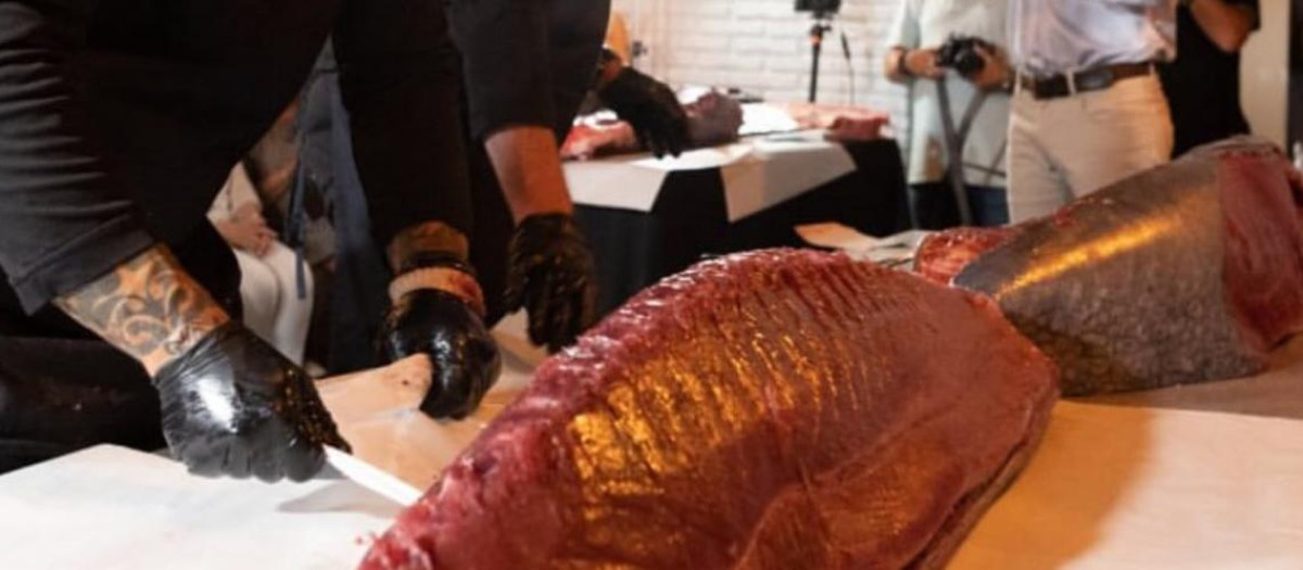 Ronqueo del Atún, en Marengo Brasserie