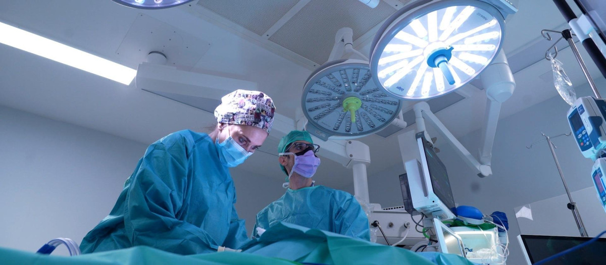 Los doctores Daniel Cabezalí y Cristina Tordable del 12 de Octubre.