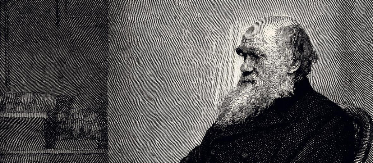 Grabado antiguo de finales del siglo XIX del científico y naturalista Charles Darwin