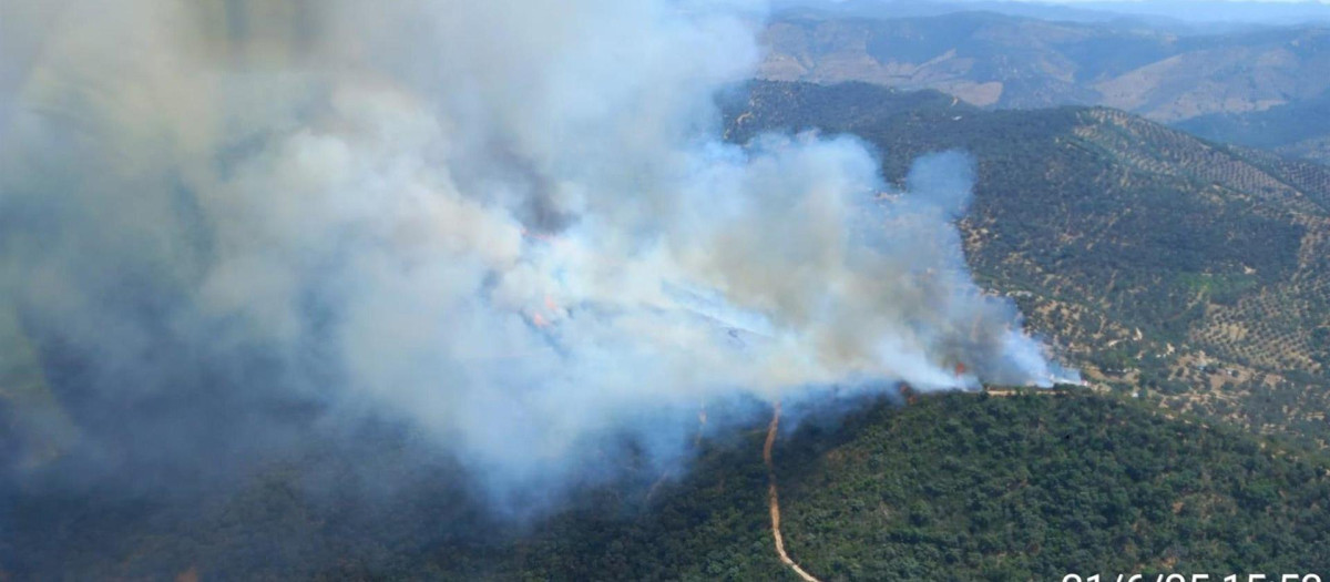 Imagen del incendio forestal en Villaviciosa de Córdoba