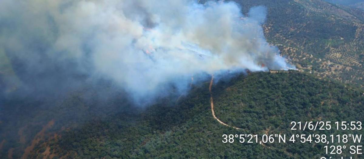 Imagen del incendio forestal en Villaviciosa de Córdoba