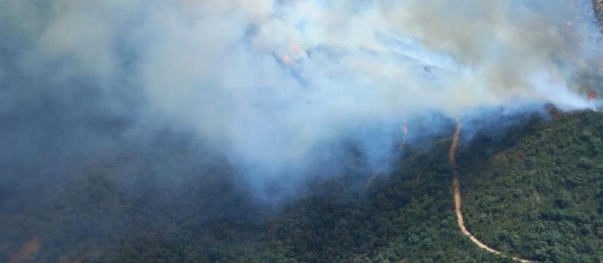 Imagen del incendio forestal en Villaviciosa de Córdoba