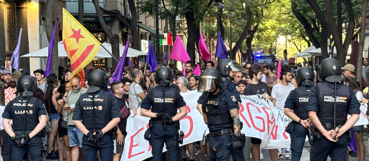 Imagen de archivo de una 'estelada' portada por las juventudes de las CUP durante una manifestación en Valencia