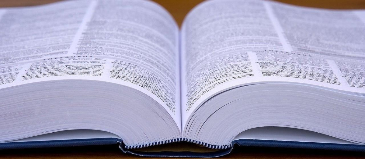 Diccionario de la RAE abierto por una de sus páginas