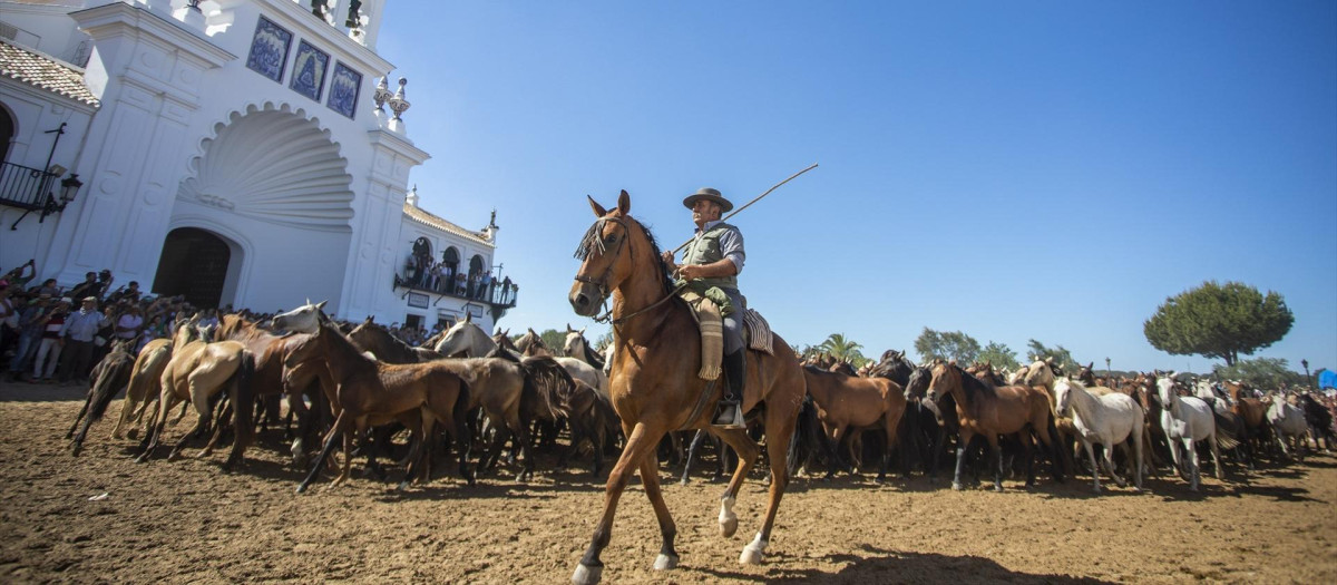 La tradicional Saca de las Yeguas de Doñana a su paso por la aldea de El Rocío.