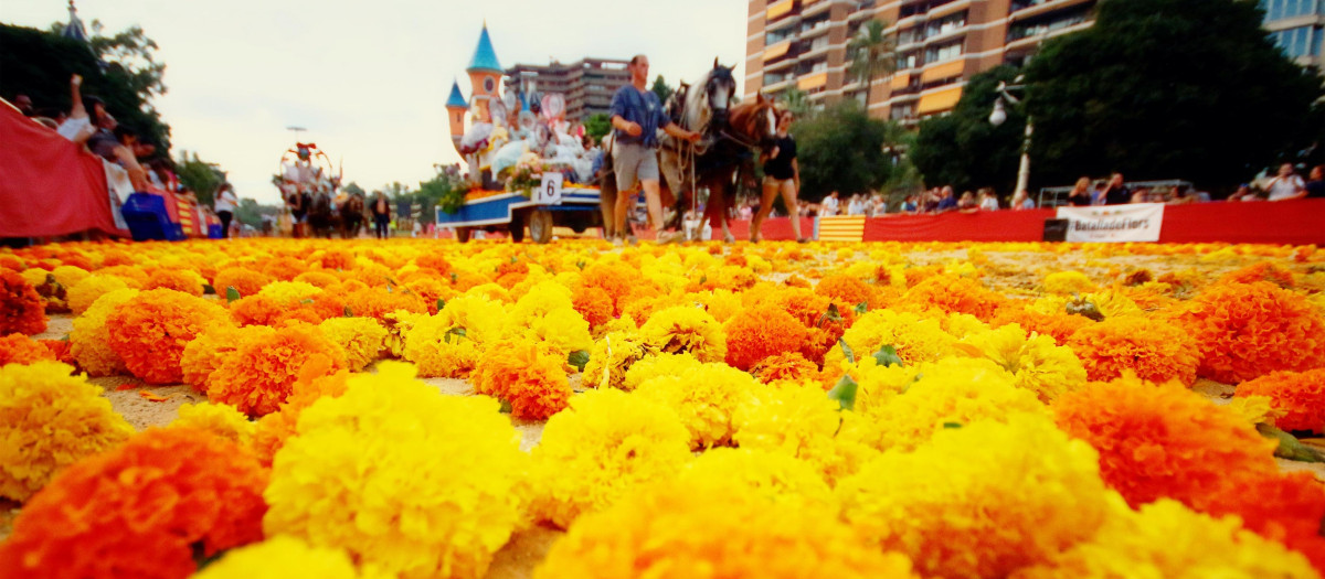 Imagen de la Batalla de Flores de la Feria de Julio de Valencia 2025.