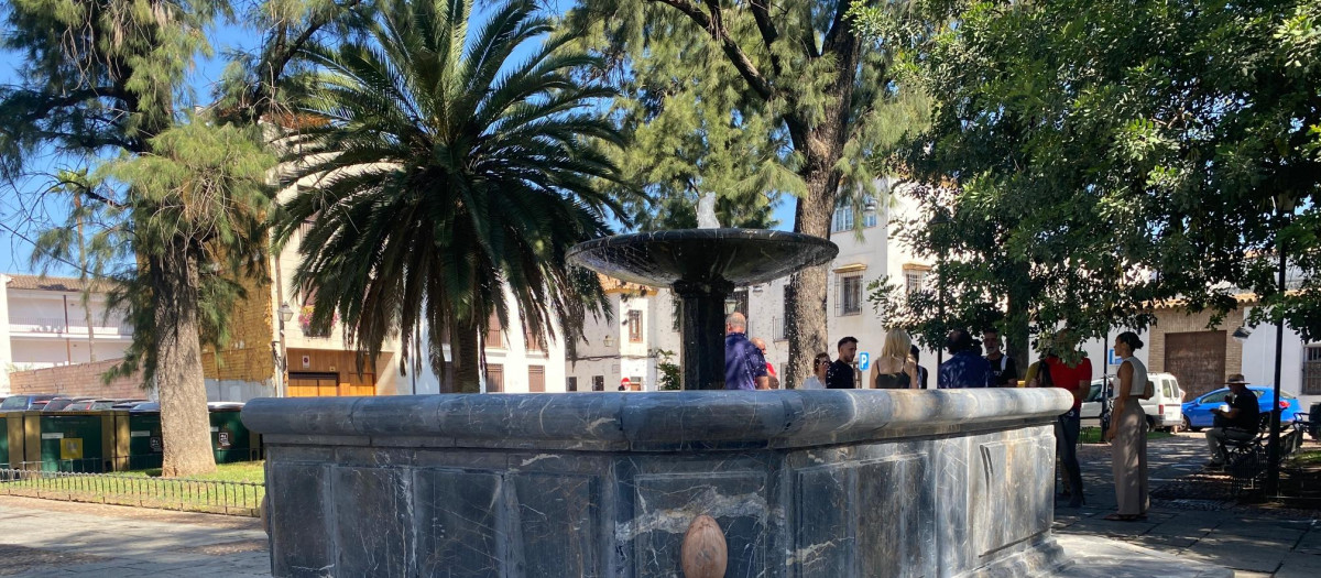 Fuente de la plaza de la Magdalena