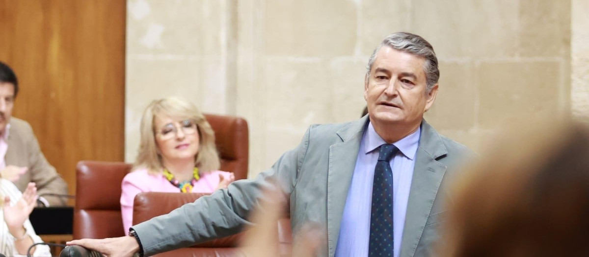 El consejero andaluz de Presidencia, Interior, Diálogo Social y Simplificación administrativa, Antonio Sanz, este jueves ante el Pleno del Parlamento

ROCÍO RUZ-EUROPA PRESS
26/6/2025