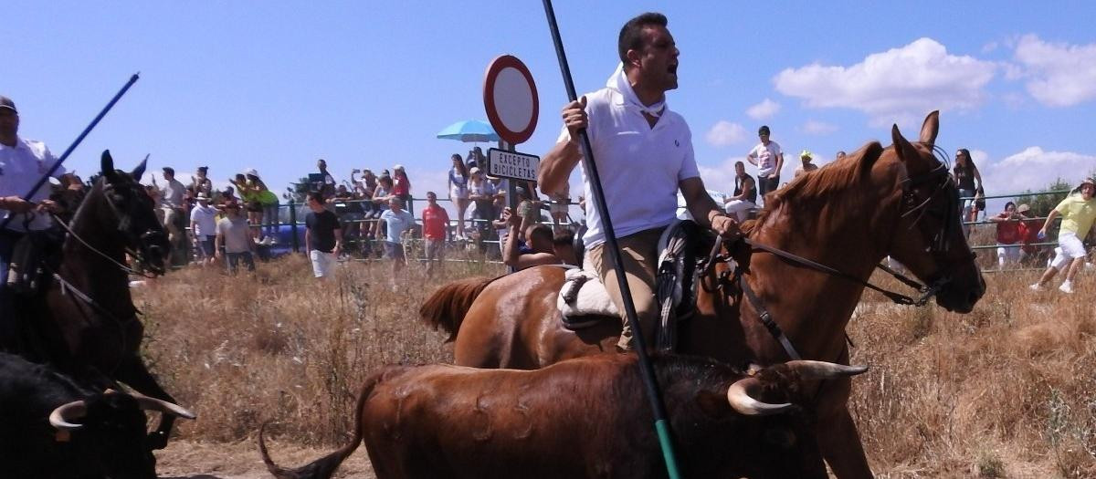 Un momento de La Saca de este año

EUROPA PRESS
26/6/2025