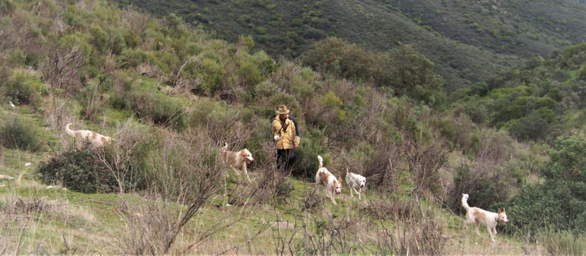 Sebastián Pérez Arjona llegando a la suelta con los perros acollarados