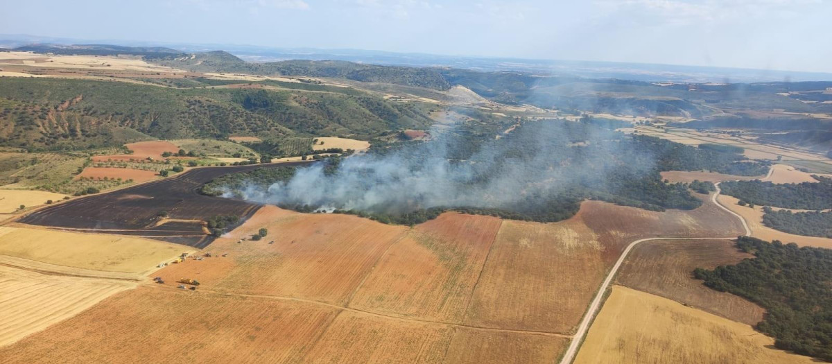 Vista aérea del incendio forestal en Cihuela (Soria)

REMITIDA / HANDOUT por @AT_BRIF
Fotografía remitida a medios de comunicación exclusivamente para ilustrar la noticia a la que hace referencia la imagen, y citando la procedencia de la imagen en la firma
28/6/2025
