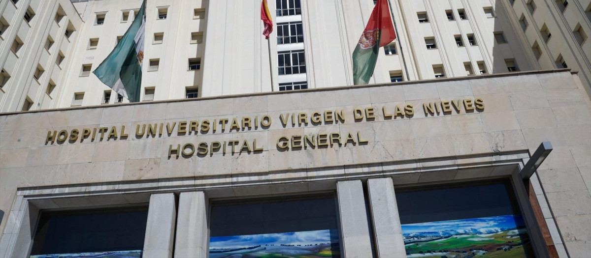 Los servicios de emergencias del Servicio Andaluz de Salud trasladaron a siete pacientes con síntomas leves de intoxicación de humo al hospital Virgen de las Nieves de Granada