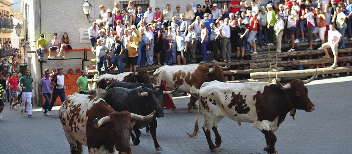 Encierros en Elche de la Sierra