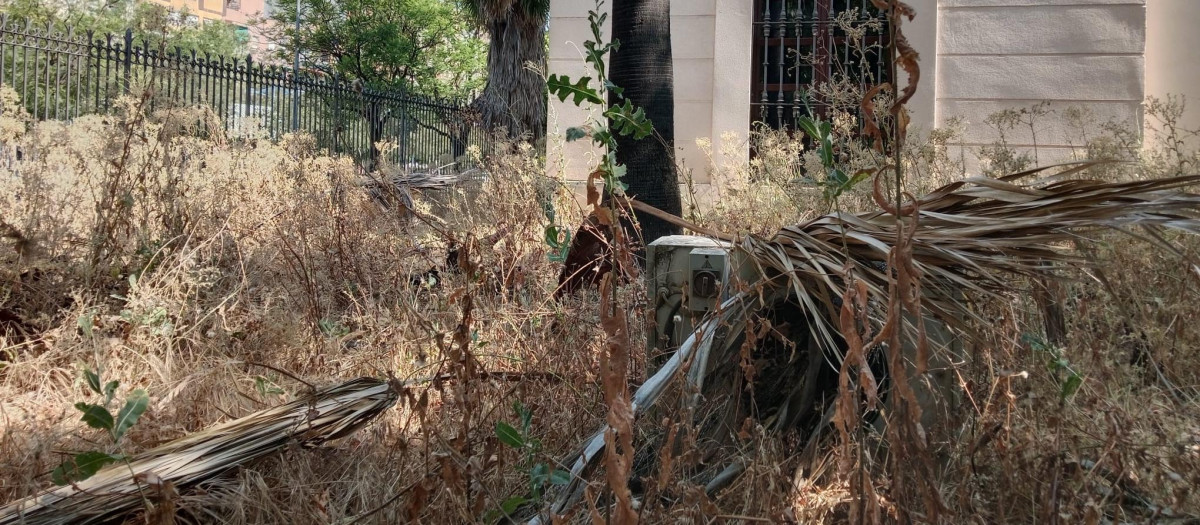 Basura en el entorno de la Gerencia Municipal de Urbanismo