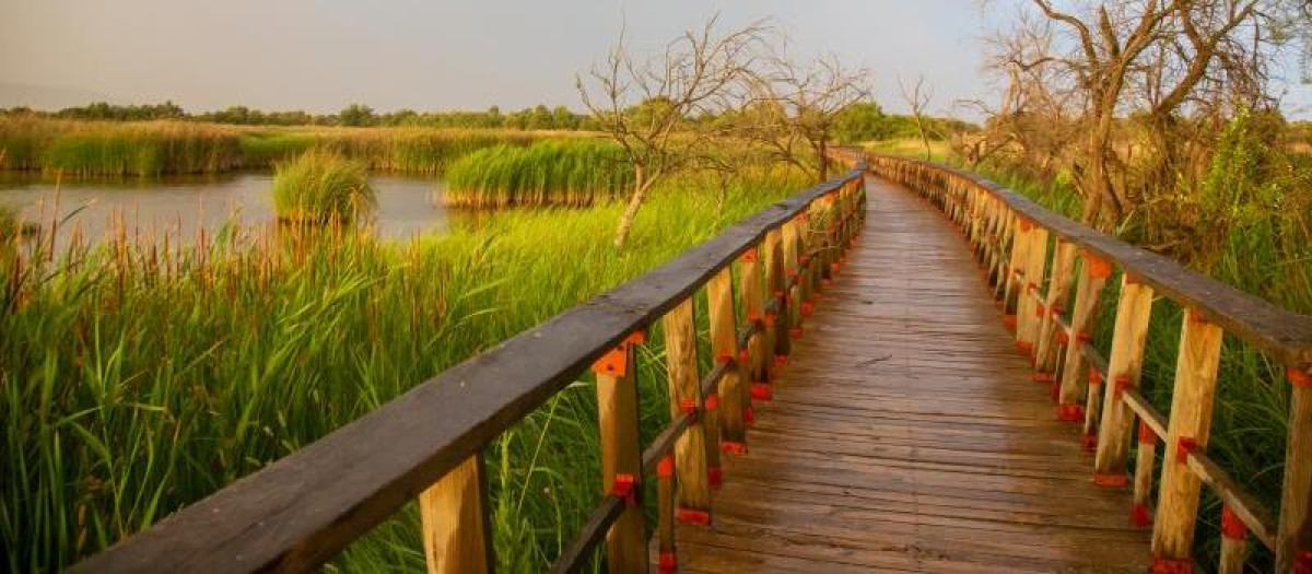 Las Tablas de Daimiel