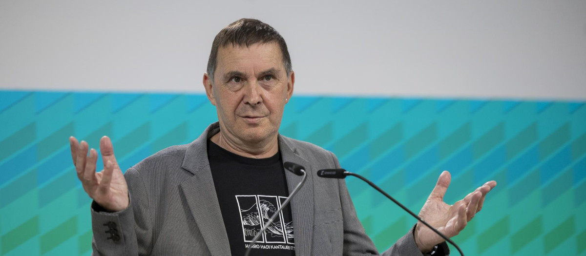 El coordinador general de Bildu, Arnaldo Otegi