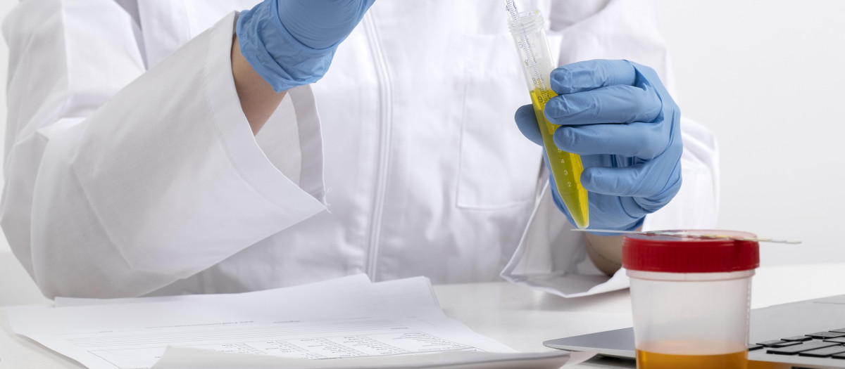 Prueba para detectar el cáncer de colon