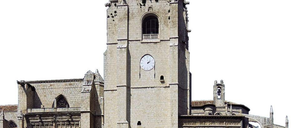 Exterior de la Catedral de Palencia

REMITIDA / HANDOUT por OBISPADO DE PALENCIA
Fotografía remitida a medios de comunicación exclusivamente para ilustrar la noticia a la que hace referencia la imagen, y citando la procedencia de la imagen en la firma
04/7/2025