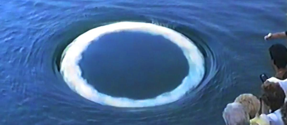 Anillo de burbujas creado por una ballena jorobada
